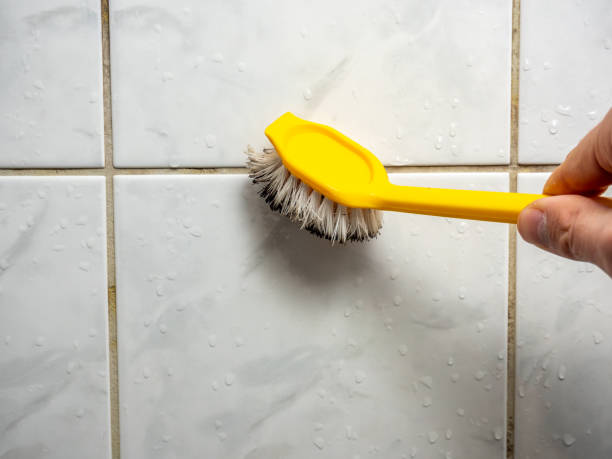 Best Residential Mold Remediation in Pontotoc, MS