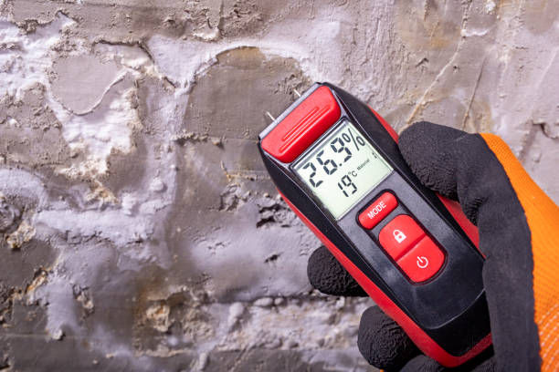 Best Mold Remediation for Specific Building Types in Pontotoc, MS