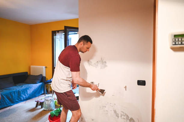 Best Mold Remediation for Schools in Pontotoc, MS